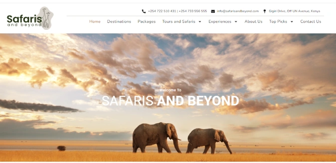 safaris and beyond